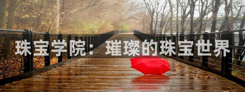 邯大新航娱乐