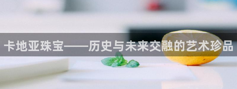 新航娱乐公司简介图片