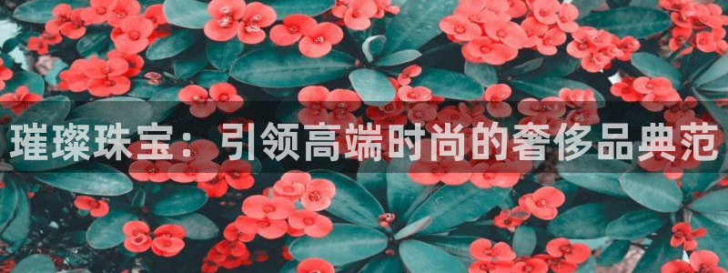 新航娱乐公司艺人招聘