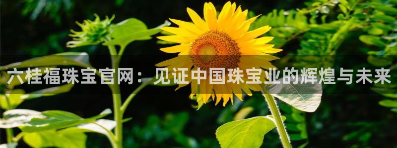 新航娱乐公司怎么样知乎
