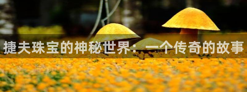 新航头等舱套房娱乐屏