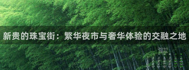 新航娱乐公司地址在哪里：新贵的珠宝街：繁华夜市与奢华体验的交