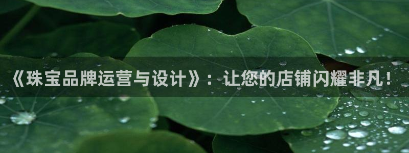 新航娱乐直开怎么下载