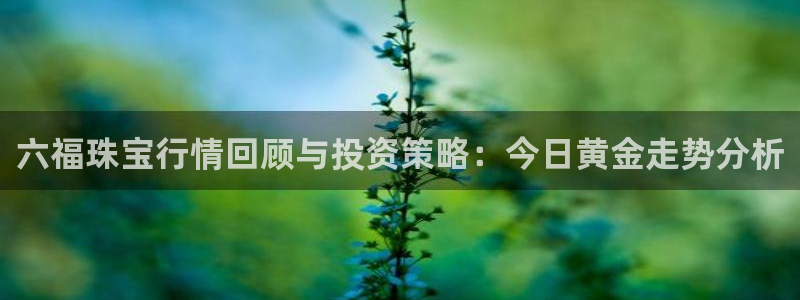 新航娱乐网址