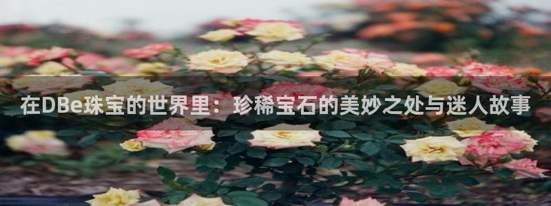 新航娱乐网址