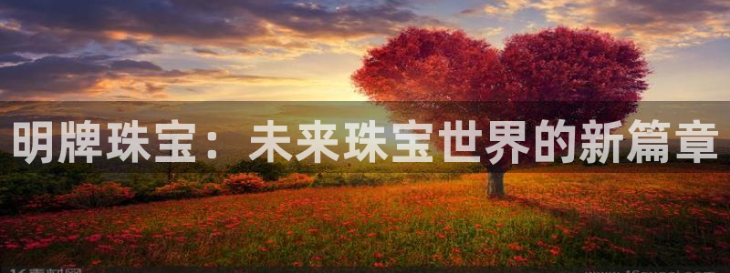 新航娱乐app下载安卓