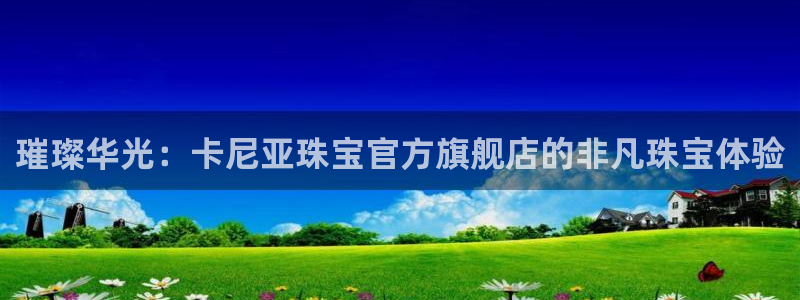 新航娱乐公司地址