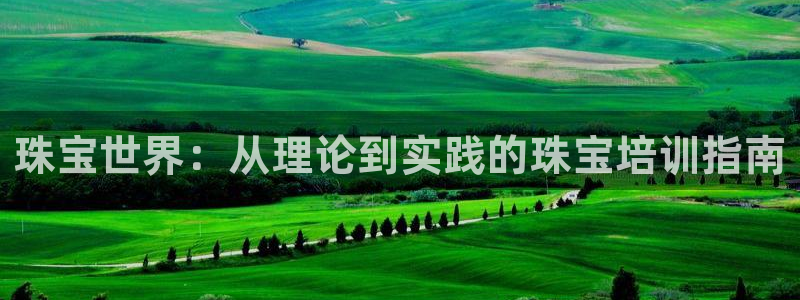 新航娱乐的创始人简介