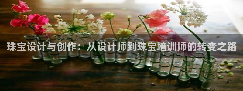 新航娱乐艺人