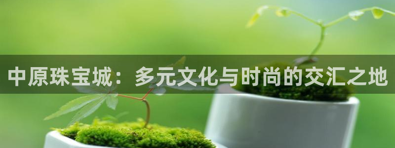新航娱乐招商