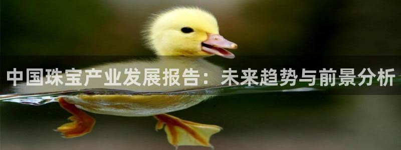 新航国际娱乐
