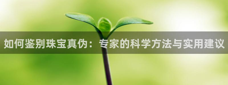 新航娱乐的最新动态报道：如何鉴别珠宝真伪：专家的科学方法与实