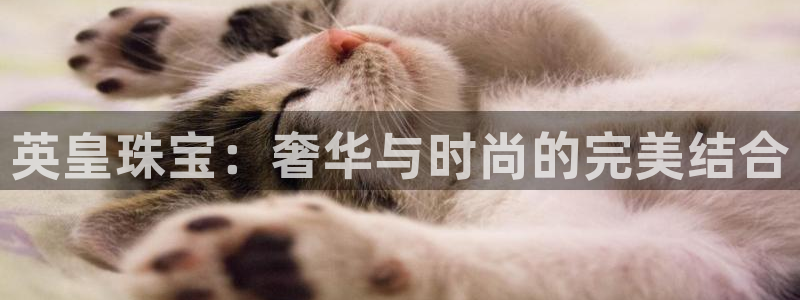 中国新航娱乐平台官网