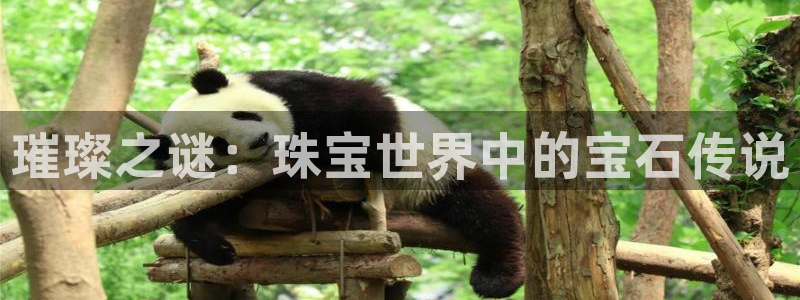新航海大酒店娱乐城：璀璨之谜：珠宝世界中的宝石传说