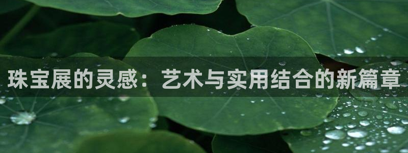 新航娱乐公司地址在哪里：珠宝展的灵感：艺术与实用结合的新篇章
