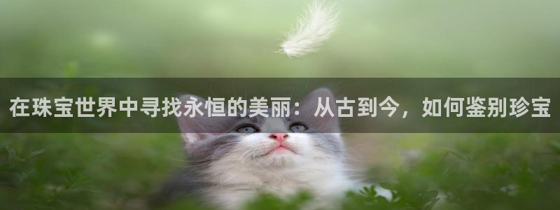 新航娱乐传媒怎么样