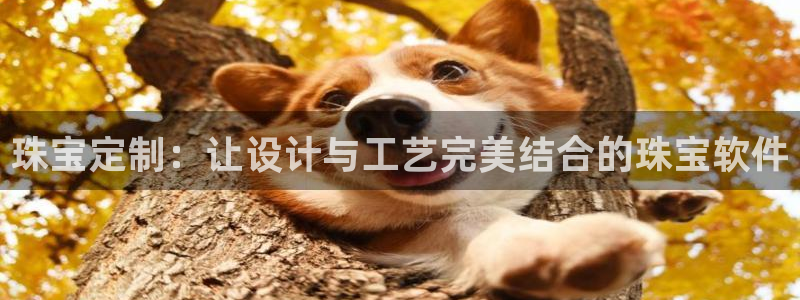 新航娱乐有限公司