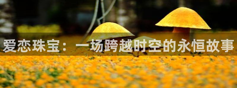 新航娱乐公司招聘电话