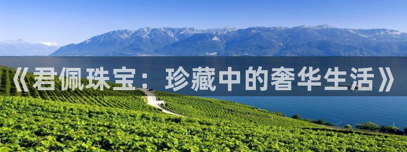 中国新航娱乐官网入口