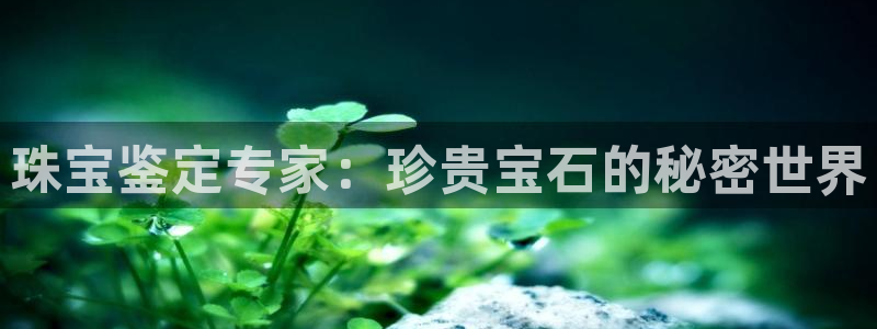 新航娱乐公司简介