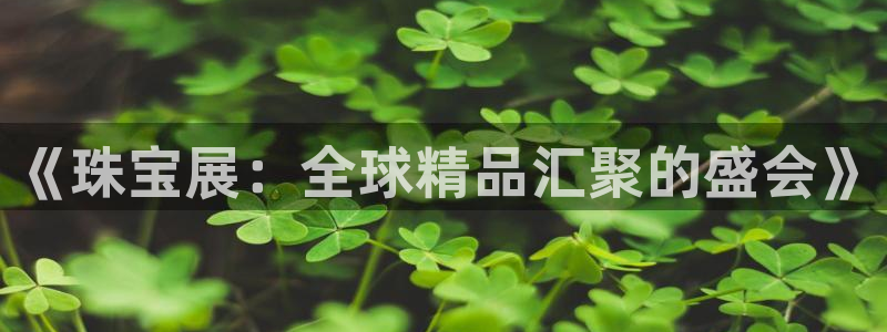 新航娱乐公司简介