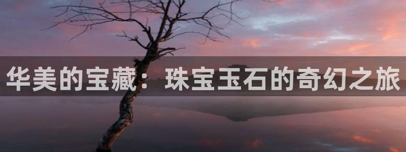 新航娱乐安卓版下载
