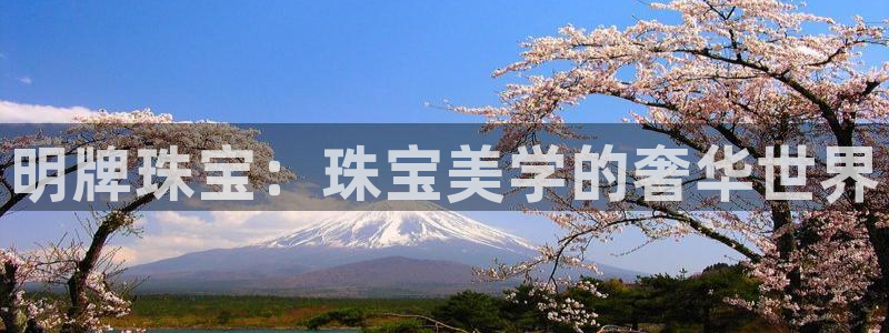 新航娱乐入网要求