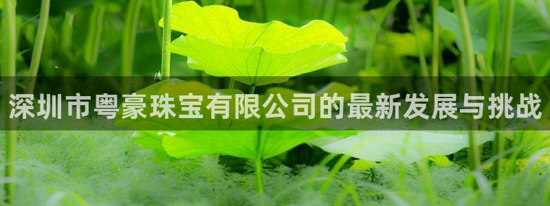 新航线娱乐