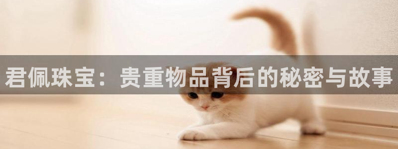 新航娱乐公司艺人招聘