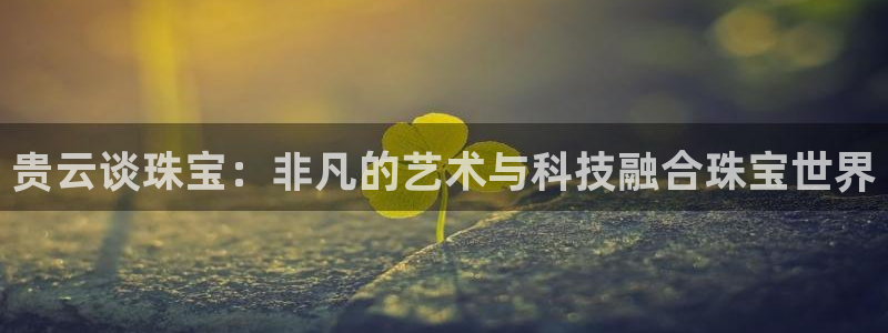 兰山新航线娱乐