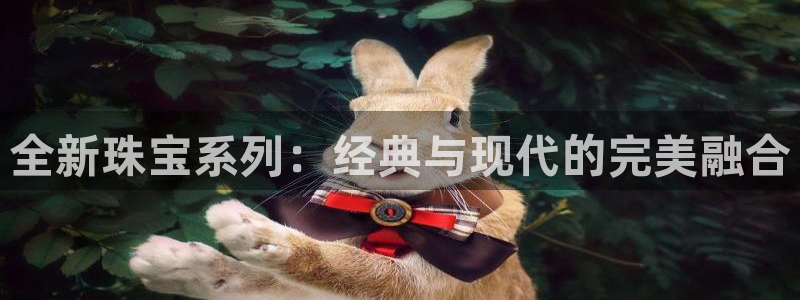 新航娱乐网址