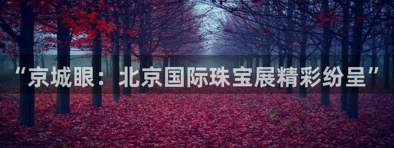 新航娱乐传媒招聘电话