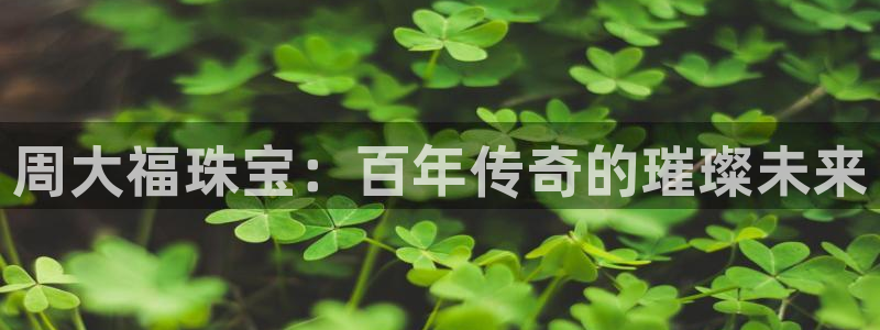 新航娱乐公司简介
