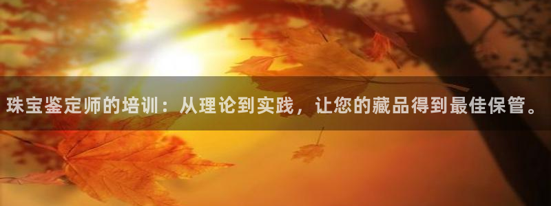 新航头等舱套房娱乐屏