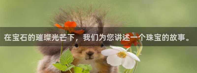 新航文化娱乐传媒怎么样