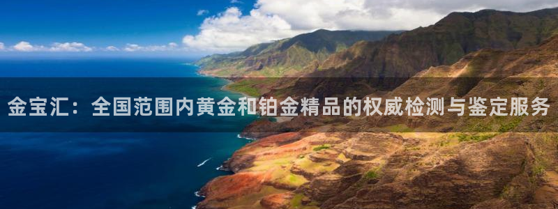 新航娱乐平台登录入口