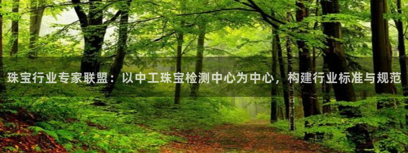 新航娱乐传媒怎么样