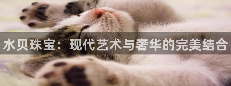 新航娱乐被国家认可吗