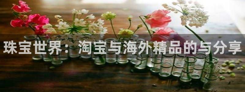 新航飞机椅背娱乐设备