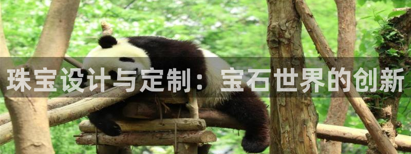 新航娱乐是正规平台吗