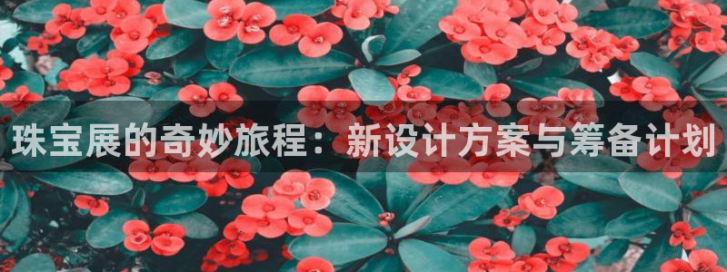 新航娱乐最高返点多少