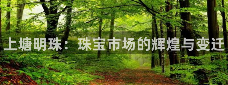 新航海娱乐会所地址：上塘明珠：珠宝市场的辉煌与变迁