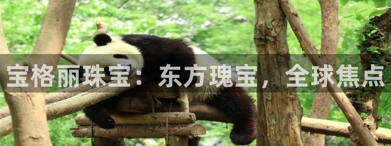 新航娱乐最新开户信息：宝格丽珠宝：东方瑰宝，全球焦点