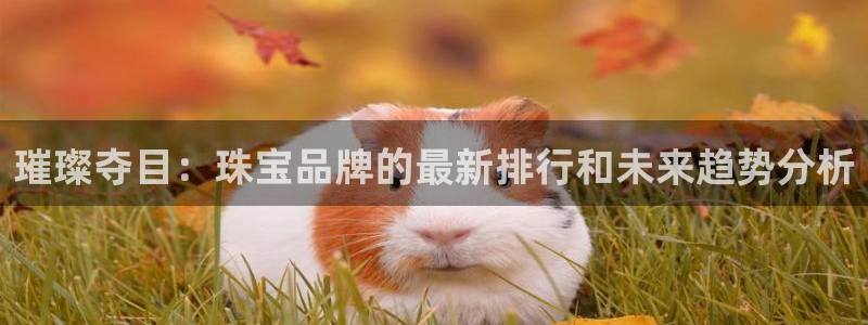 邯大新航娱乐：璀璨夺目：珠宝品牌的最新排行和未来趋势分析