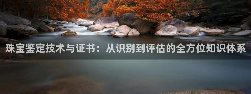 新航娱乐传媒