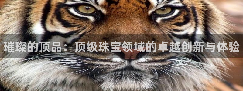 新航娱乐传媒怎么样啊