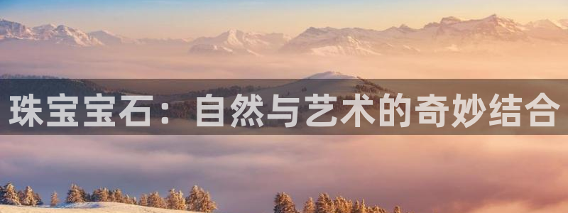 新航虚拟娱乐