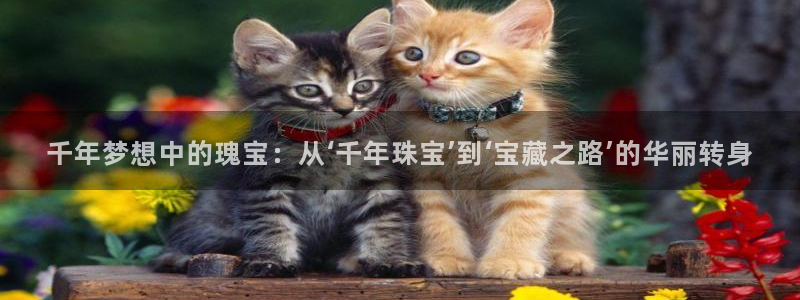 打造娱乐新航母