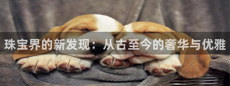 新航娱乐公司问题分析