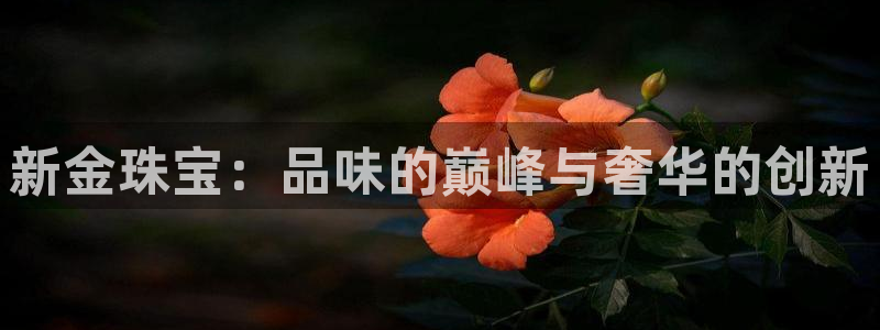 新航娱乐官方网站入口